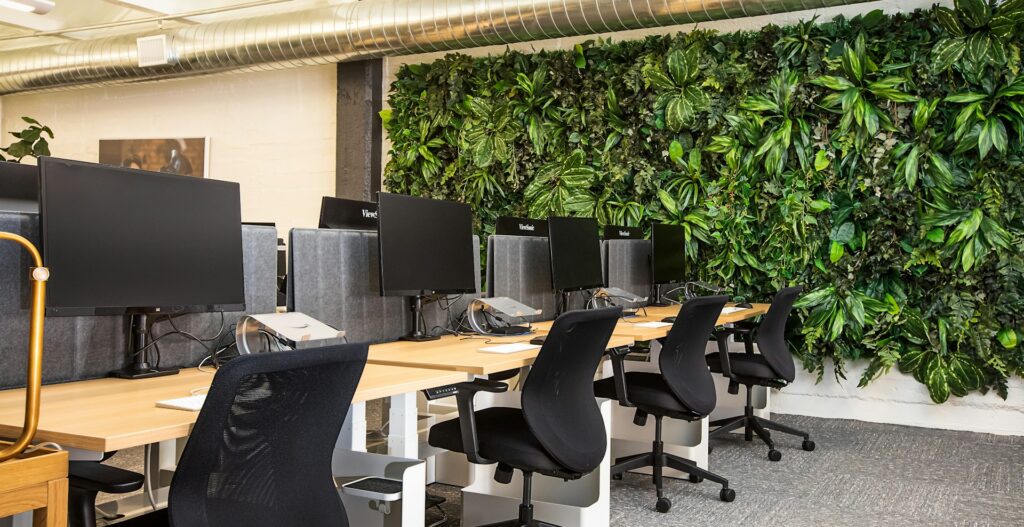 medium-sized-office-with-green-wall