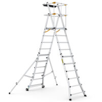 Telescopic Ladders