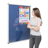 Display Systems